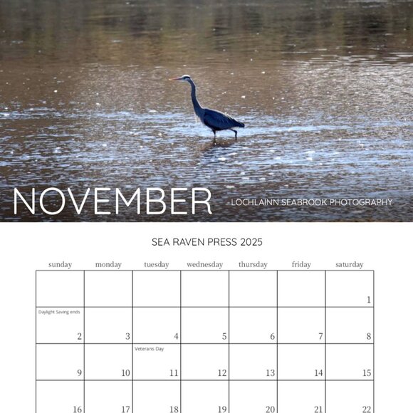 Mini 2025 Rocky Mountain Custom Wildlife Calendar For Small Spaces 11.5" x 8" - Picture 12 of 13